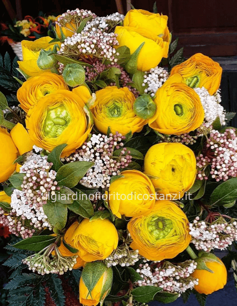 bouquet tendente al giallo